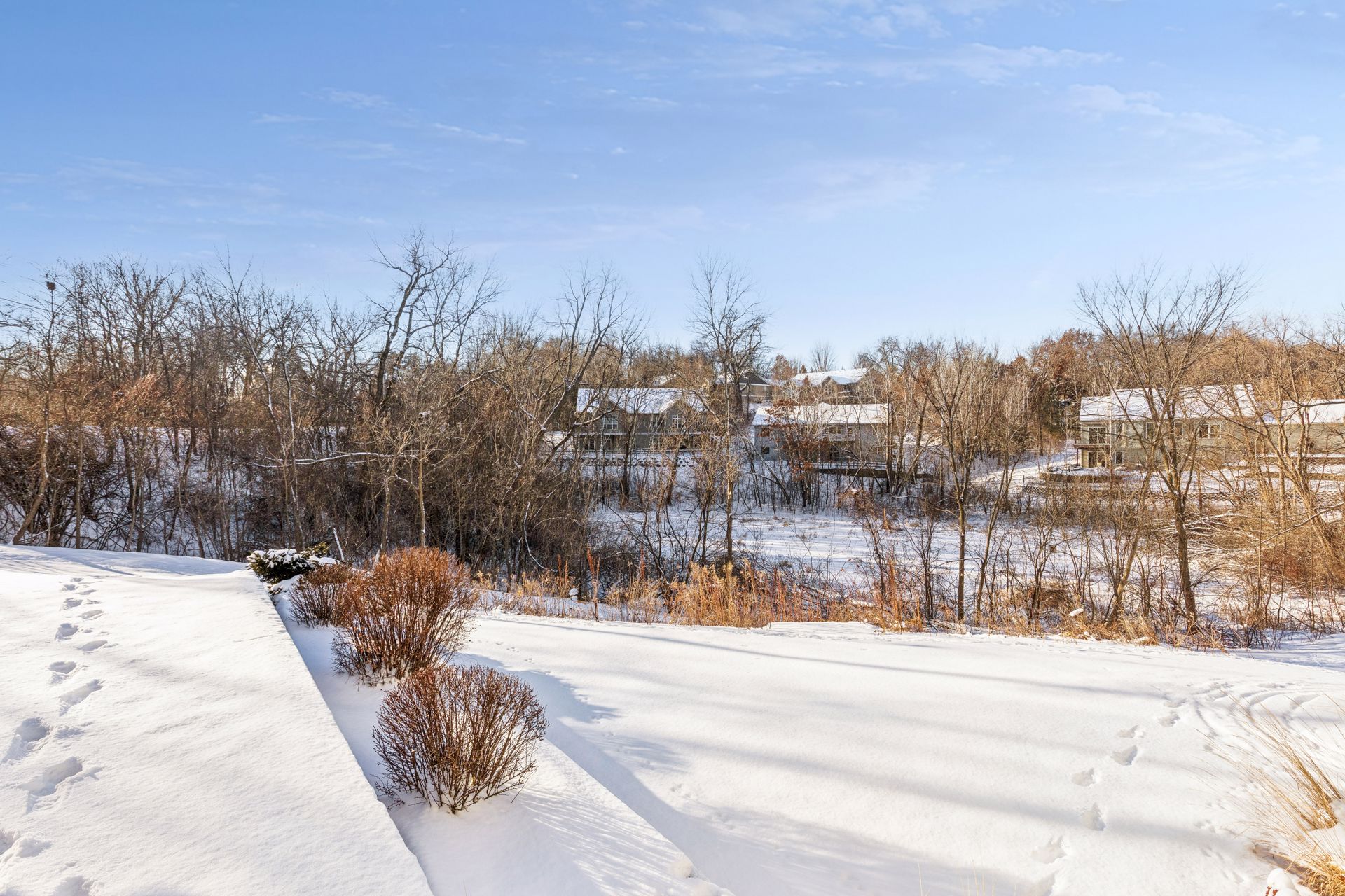 Back yard of Townhome